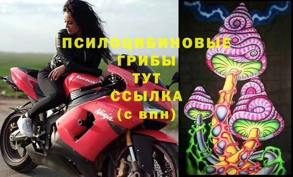 бошки Абаза