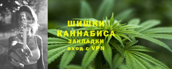 индика Абдулино