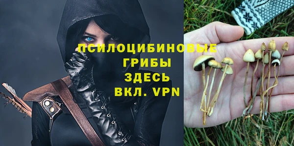 индика Абдулино
